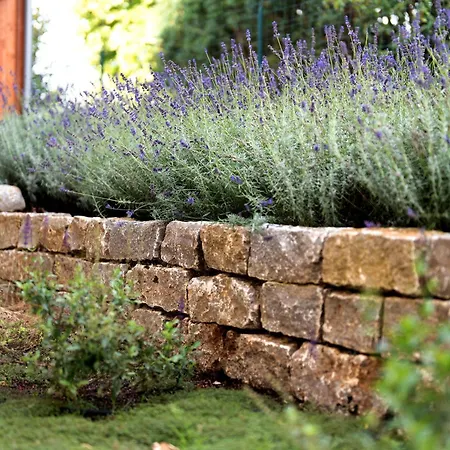 公寓 Im Sonnigen Kaiserstuhl 恩丁根