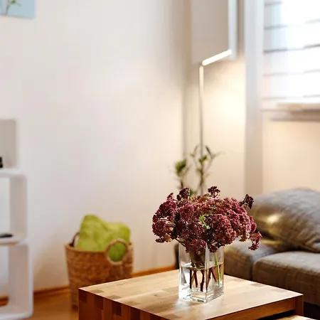 公寓 Im Sonnigen Kaiserstuhl *